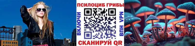 купить Апшеронск Галлюциногенные грибы прущие грибы