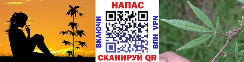 Бошки марихуана Ganja  наркотики  Апшеронск 